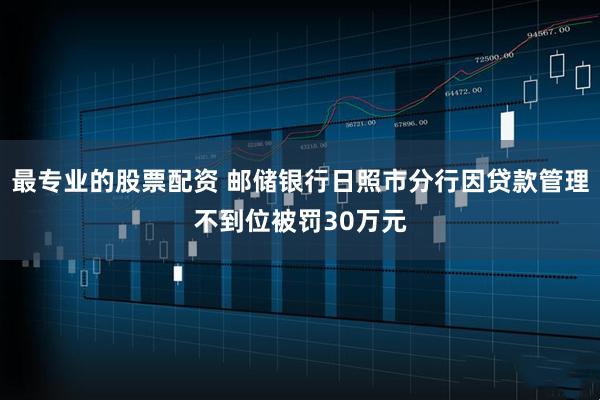 最专业的股票配资 邮储银行日照市分行因贷款管理不到位被罚30万元
